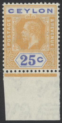 prodImages/Cy238v-1122.jpg